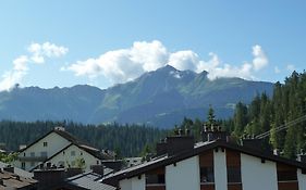 Ferienwohnung Murschetg